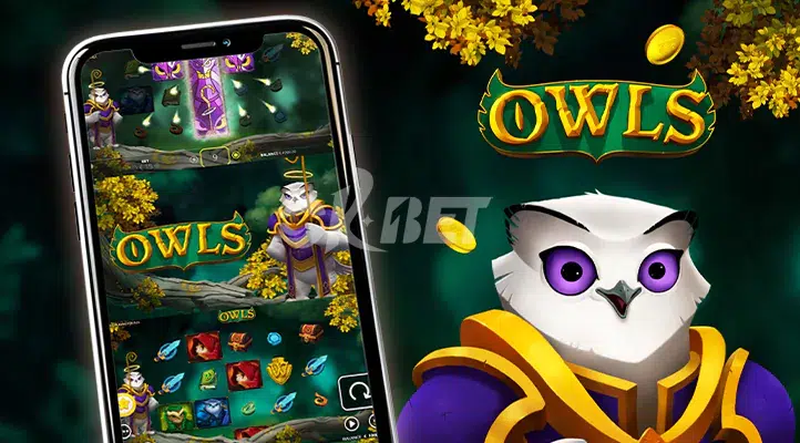 Owls Screenshot